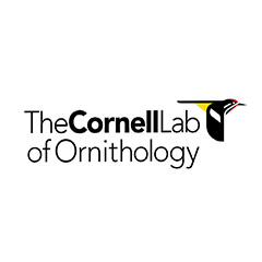 Cornell Ornithology